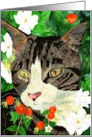 Remembering Charlie Birthday Card for Tabby Cat Lovers card