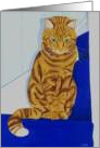 Watchful (ginger cat on the stair) card
