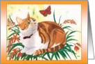 Kitten with butterfly and crocosmia (blank) card