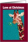 Festive Giraffe, giraffe and mistletoe, Christmas card