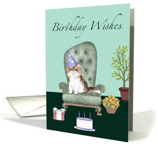 Cat in birthday hat, birthday card (1764280)