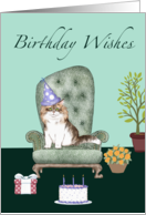 Cat in birthday hat, birthday card