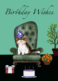 Cat in birthday hat,...