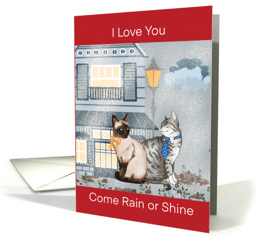 Valentines Cat I Love You Come Rain or Shine card (1814552)