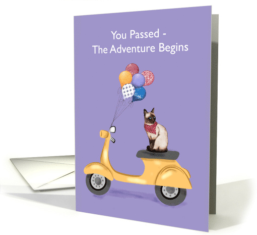You Passed The Adventure Begins card (1864948)