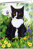 Morgan in Springtime card