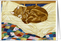 Sleeping Cat, Henry and the Patchwork Quilt card