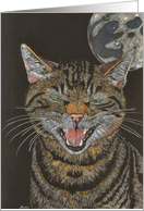 Halloween, A Moonlight Cat Serenade card