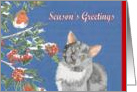 Season’s Greetings, Watch the Birdie (Cat and Robin) card