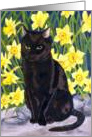 Jet and Daffodils (Black cat amongst Spring flowers card