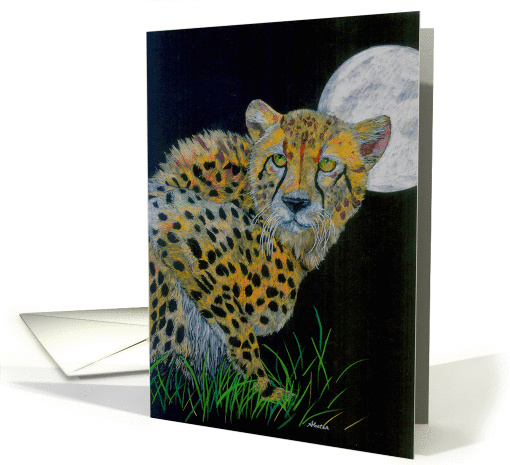 Murphy by Moonlight (Cheetah at night) card (841725)