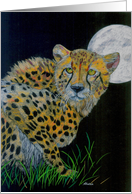 Murphy by Moonlight (Cheetah at night) card