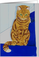 Watchful (ginger cat on the stair) card