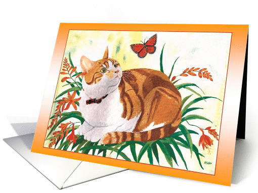 Kitten with butterfly and crocosmia (blank) card (889484)