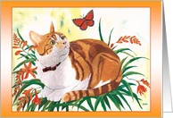Kitten with butterfly and crocosmia (blank) card