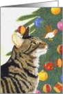 Samson & the Christmas Tree card