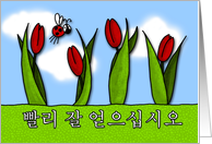   ʽÿ - tulips - Get well in Korean card