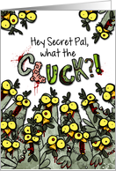 Secret Pal - What the Cluck?! - Zombie Easter Chickens card