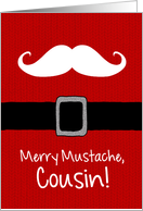 Merry Mustache -...