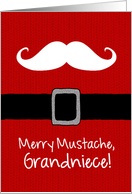 Merry Mustache - Grandniece card