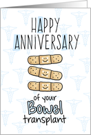 Cute Bandages - Happy Anniversary - Bowel Transplant card