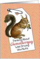 Squirrel with Acorn - First Chemo Congratulations card