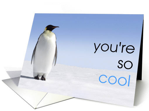 You're so Cool - Penguin card (1311794)