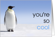 You’re so Cool - Penguin card
