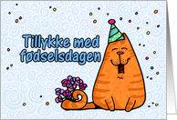 happy birthday cat - Danish card