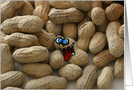 nuts! card