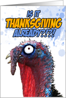 is it thanksgiving already?!?! card