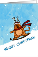 merry christmas card