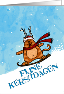 fijne kerstdagen -...