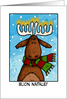 merry christmas - italian card