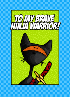 Ninja Warrior - For...