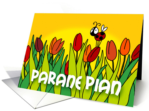 Parane Pian card (391171)