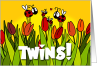 congratulations - twins card