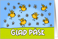 chicks - Glad psk card