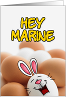 eggcellent easter - marine card