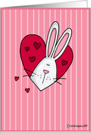 love bunny