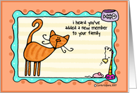 new family member - cat card