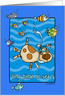 long time no sea !