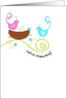 Birds with Nest and Egg - Pregnancy Announcement card