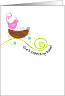 Bird with Nest and Two Eggs - Baby Shower Invitation card