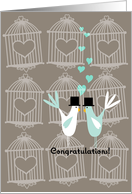 Cute Birds with Cages - Gay Wedding Congratulations card