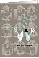 Cute Birds with Cages - Wedding Congratulations card