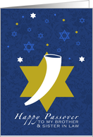 Brother & Sister in Law Happy Passover shofar card