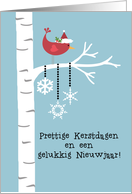 Dutch - Red Cardinal Christmas card