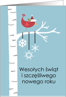 Polish - Red Cardinal Christmas card