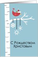 Russian - Red Cardinal Christmas card